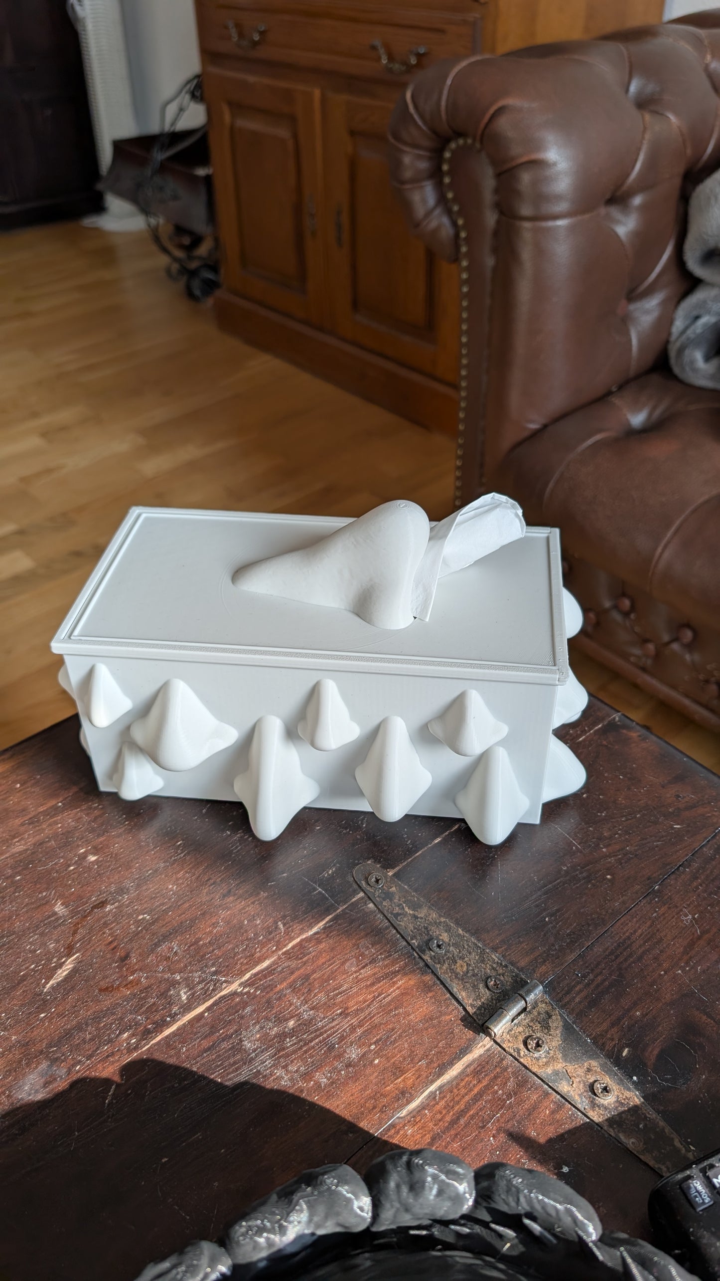 Nosey Tissue Box