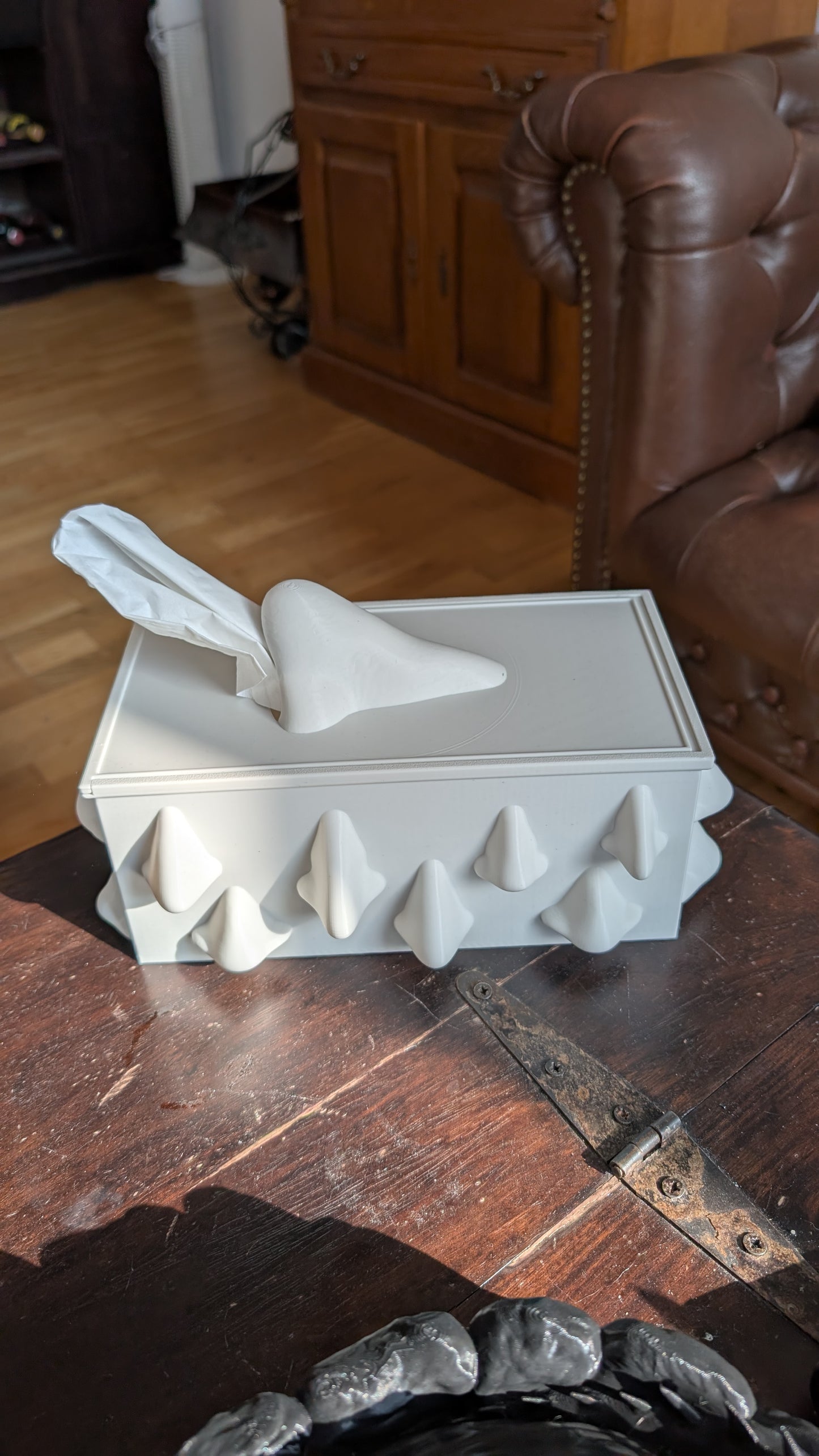 Nosey Tissue Box